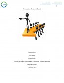 Operaciones y Documentos Fuente