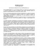 INFORME EJECUTIVO. GESTIÓN DEL RIESGO EN “WILLIS IMPRESORES S.A.”