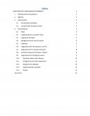 CASO PRÁCTICO: ENRUTAMIENTO DINÁMICO