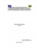 Componentes de la Estadística (Ensayo)