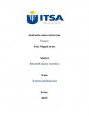 Término globalización