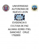 EVIDENCIA 5 CULTURA DE PAZ