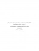 Teoría y técnica del proceso de investigación de accidentes IACC