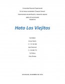 Informe de pasantias Ing Produccion Animal