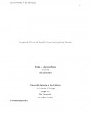 Chritopher R. El Joven Que Entra En Psicosis Para Huir De Sus Presiones