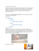 ¿Cuáles son las Partes de un Ensayo?