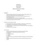 Aserrado y limado Sierras y limas Máquinas para corte con sierra y limadora Accesorios