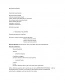 Notas estudio medicina - Músculos faciales