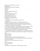 Organizacion y planificacion de los tiempos