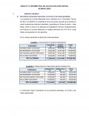 ANEXO Nº 19. INFORME FINAL DEL NUCLEO EJECUTOR CENTRAL
