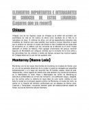 ELEMENTOS IMPORTANTES E INTERASANTES DE CONOCER DE ESTOS LUGARES