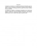 Concepto del hombre por los filósofos