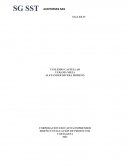 SG SST AUDITORIAS SAS