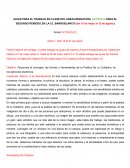 Artisticas escenicas