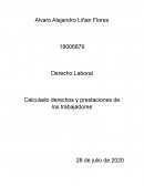 Derecho Laboral Calculado derechos y prestaciones de los trabajadores
