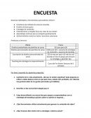 Encuesta marketing digital