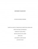 Cuestionario analisis dofa