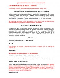 MODELO DE DEMANDA DE ACCIÒN POPULAR - Informes - R S