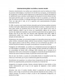 Calentamiento global: Los daños a nuestro mundo