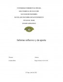 Etica y leyes, Informe reflexivo y de aporte