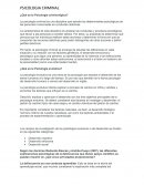 Psicologia Criminal