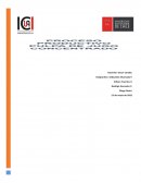 Proceso pulpa de manzana