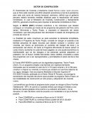 PROGRAMAS DE APOYO EN SECTOR DE CONSTRUCCIÓN