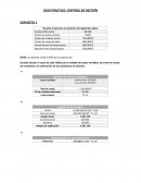 CASO PRACTICO: CONTROL DE GESTIÓN
