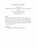 TRAZADO CONDUCCIÓN DE RIEGO