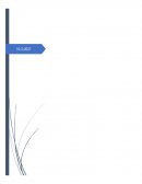 FINANCIAMIENTOS A CORTO Y LARGO PLAZO