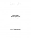 ENSAYO DE DERECHOS HUMANOS