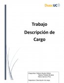 Trabajo Descripción de Cargo