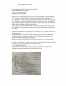 La magia de la Anatomia