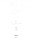 ENSAYO “SOMOS REALMENTE LIBRES”