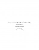 Antropología sociocultural aplicada a las realidades sociales II