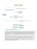 Práctica 5 Lípidos