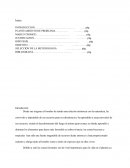 INCENDIOS FORESTALES