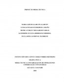 MEDIA TECNICA CONTABILIZACION DE OPERACIONES COMERCIALES Y FINANCIERAS