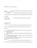DINÁMICA N°10 “Liderazgo situacional”