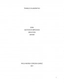 GESTION EN MERCADOS. RISHI Y SU IDEA INNOVADORA