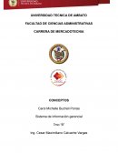 Historia de los sistemas de información de dos ciudades