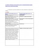 CLASIFICACIÓN DE CUENTAS DE BALANCE Y ESTADO DE RESULTADOS PARA EVALUACIÓN FINANCIERA