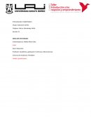 Entrevista a profesor