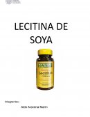 Producción lecitina de soya EIQ142