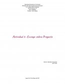 Actividad 2- Ensayo sobre Proyecto