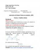 ENERGIA TERMICA