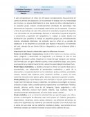 Habilidades Docentes y Profesionales del Maestro