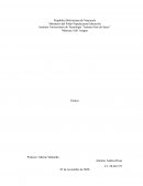 Departamentos de Sistemas y Procedimientos