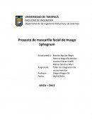 Proyecto de mascarilla facial de musgo Sphagnum