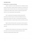 CASO CIRQUE DU SOLEIL